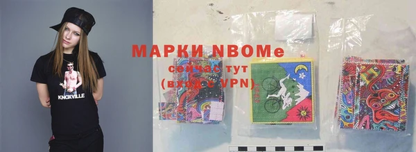 дживик Краснослободск
