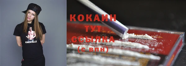 дживик Краснослободск