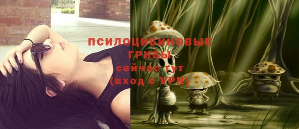 дживик Корсаков